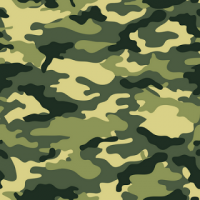 Estampado militar