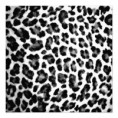 Estampado de leopardo blanco y negro